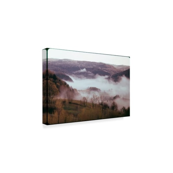 American Eyes 'Morning Mist' Canvas Art,16x24